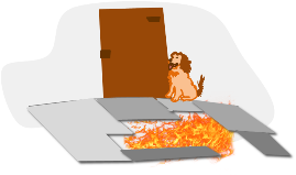properties